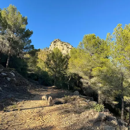 别墅 Magic Dream Seaview With 2 Pools, Bbq, Airco, Wifi